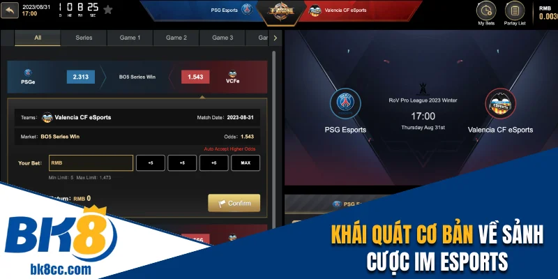 Khái quát về sảnh IM Esports